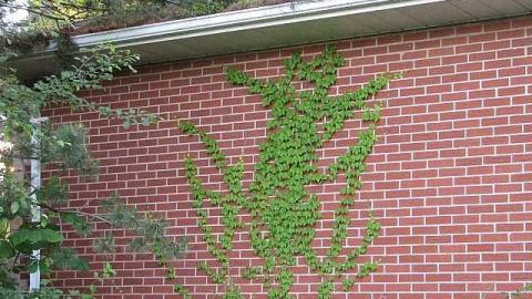 B is for Bloodcurdling - 53.jpg