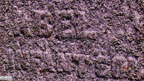 In Memory Of - Jaffa-Pioneer-Cemetery16.jpg