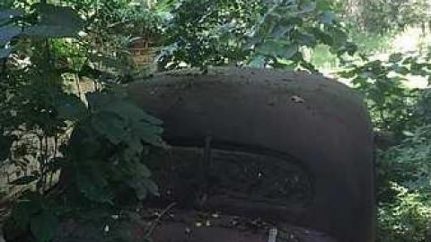 Photo from Hoarders: Buried Alive