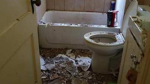 In and Out '18 - DSC06793.jpg