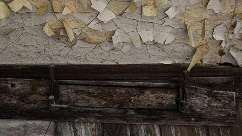 Preston! - DSC_0051.jpg