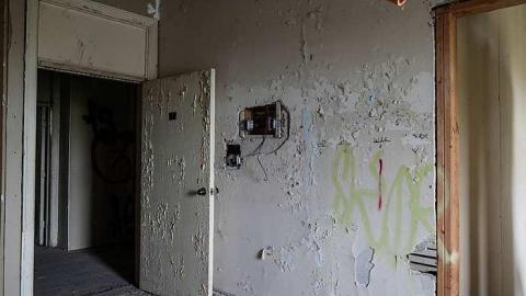 Preston! - DSC_0099.jpg