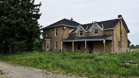 Mickey's Manor - Stone,-Cars,-and-a-Frog72.jpg