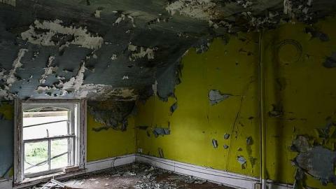 Mickey's Manor - Stone,-Cars,-and-a-Frog73.jpg