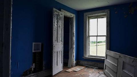 Mickey's Manor - Stone,-Cars,-and-a-Frog74.jpg