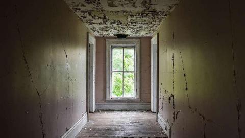 Mickey's Manor - Stone,-Cars,-and-a-Frog75.jpg