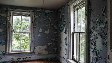 Mickey's Manor - Stone,-Cars,-and-a-Frog76.jpg