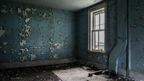 Mickey's Manor - Stone,-Cars,-and-a-Frog78.jpg