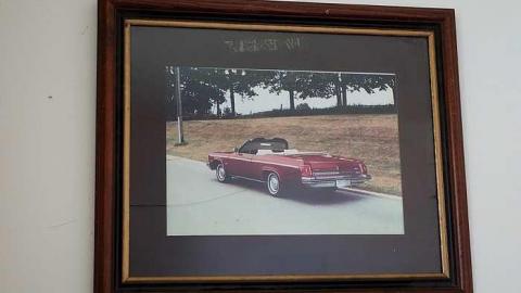 Happy Canada Day '18 - DSC08630.jpg