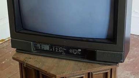 Happy Canada Day '18 - DSC08639.jpg