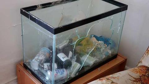 Happy Canada Day '18 - DSC08640.jpg