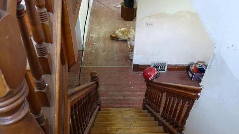 Happy Canada Day '18 - DSC08666.jpg