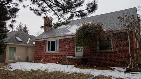 Hairstyling '18 - DSC02078.jpg