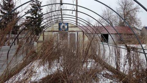 Hairstyling '18 - DSC02292.jpg