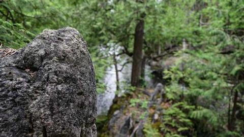 Photo from Danger Zone