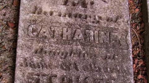 Pleasant Valley Pioneer Cemetery photo 3