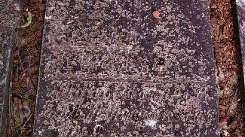 19th Hole  - Pleasant-Valley-Pioneer-Cemetery14.jpg