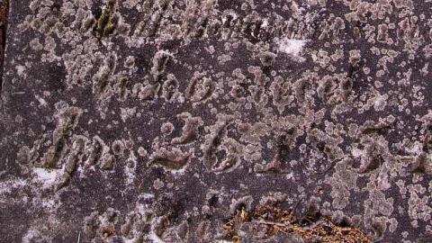 19th Hole  - Pleasant-Valley-Pioneer-Cemetery15.jpg