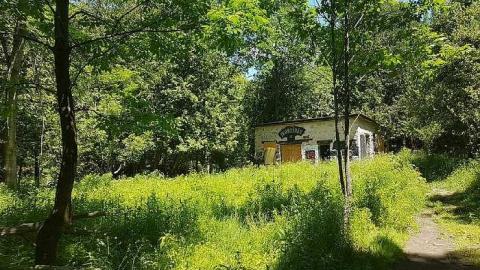 Eugenia Falls - Eugenia-Falls--Ghost-Town33.jpg