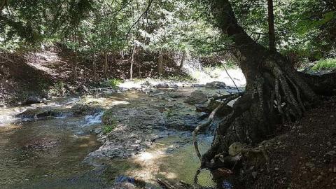 Eugenia Falls - Eugenia-Falls--Ghost-Town36.jpg