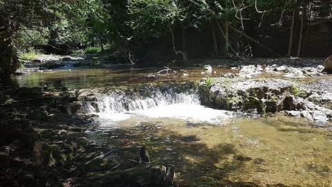 Eugenia Falls - Eugenia-Falls--Ghost-Town37.jpg