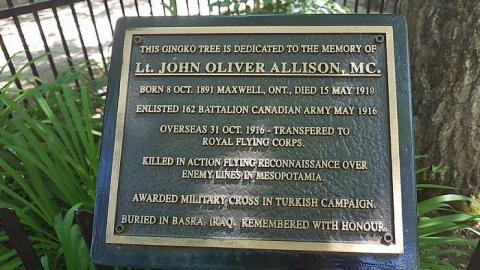 Eugenia Falls - Eugenia-Falls--Ghost-Town41.jpg