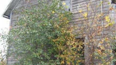 43 lanark - Farm-House14.jpg