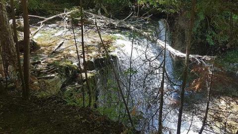 Hoggs Falls - Hoggs-sawmill-at-Hoggs-Falls17.jpg