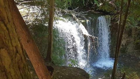 Photo from Hoggs Falls