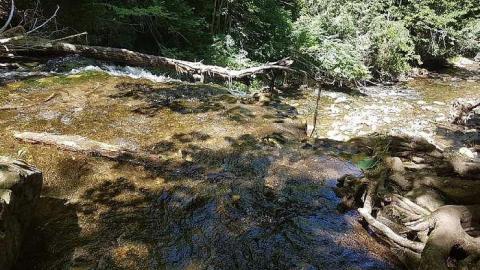 Hoggs Falls - Hoggs-sawmill-at-Hoggs-Falls4.jpg