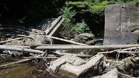 Photo from Hoggs Falls