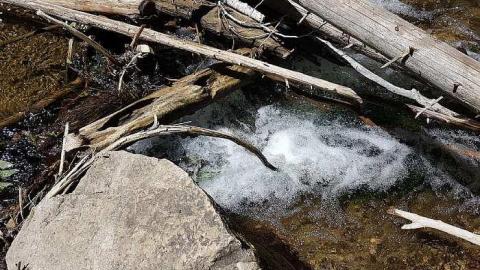 Hoggs Falls - Hoggs-sawmill-at-Hoggs-Falls21.jpg