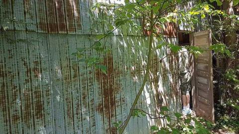 Webwood Falls - Webwood-Falls9.jpg