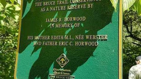 Webwood Falls - Webwood-Falls11.jpg