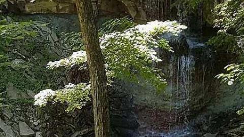 Webwood Falls - Webwood-Falls7.jpg