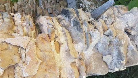 Top of Blue - Top-of-Blue52.jpg