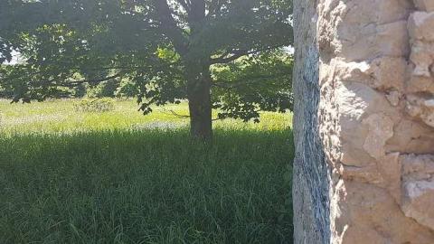 Top of Blue - Top-of-Blue53.jpg