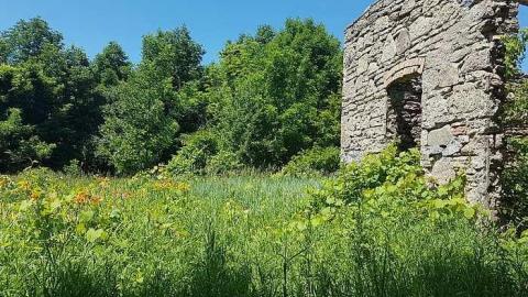 Top of Blue - Top-of-Blue54.jpg