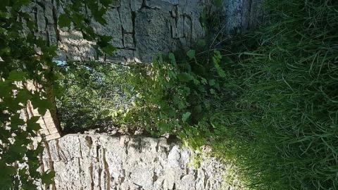 Top of Blue - Top-of-Blue6.jpg