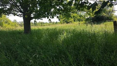 Top of Blue - Top-of-Blue55.jpg