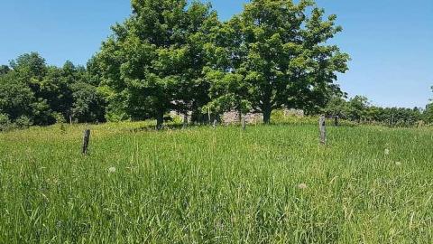 Top of Blue - Top-of-Blue56.jpg