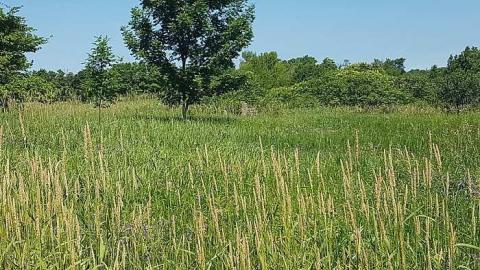 Top of Blue - Top-of-Blue57.jpg