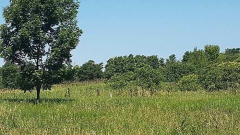 Top of Blue - Top-of-Blue58.jpg