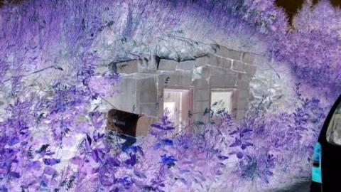 Hobbit House and more - Robertsville-Ghost-Town30.jpg