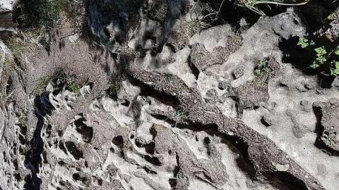 Inglis Falls - Inglis-Falls20.jpg