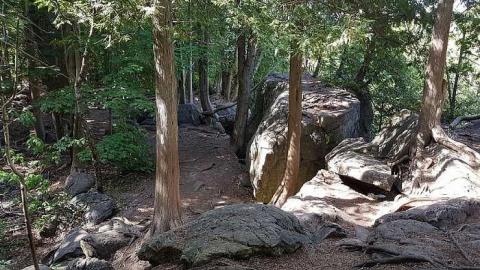 Inglis Falls - Inglis-Falls10.jpg