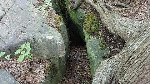 Inglis Falls - Inglis-Falls4.jpg