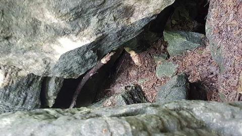 Photo from Inglis Falls