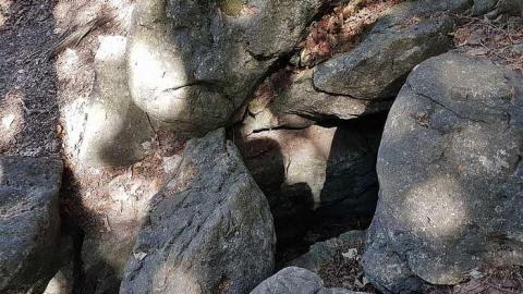 Photo from Inglis Falls