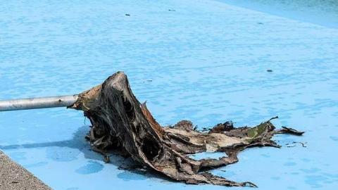 Waterworks - DSC_0293.jpg